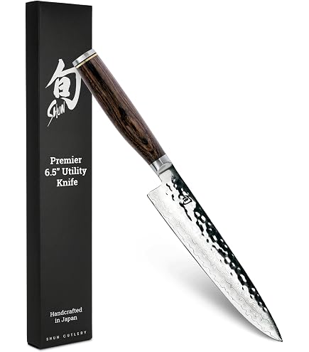 Amazon.com: Shun Dual Core 6